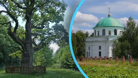 Аварійна гребля та занедбані дуби: що не так із туристичними магнітами Диканьки