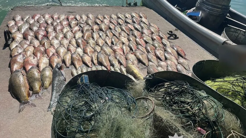 На Кам'янському водосховищі викрили браконьєрів із 175 кілограмами риби
