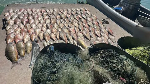На Кам'янському водосховищі викрили браконьєрів із 175 кілограмами риби