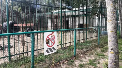 У Котельві ветеринару оголосили підозру через травмування хлопчика левицею