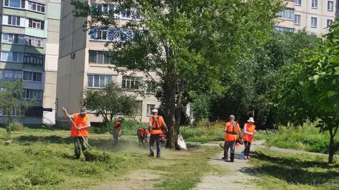 У Полтаві 15 косарів не встигають покосити два мільйони «квадратів» трави