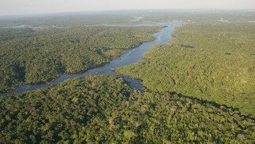 Бразилія: Амазонка зникає на очах.  Вирубана територія, у п’ять разів більша за Нью-Йорк