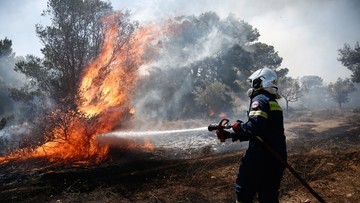 Греція.  Боротьба з вогнем триває.  Евакуйований готель на острові Лесбос