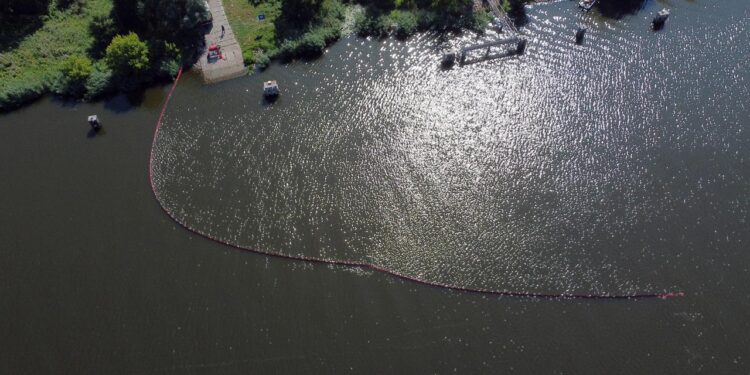 Міністр клімату: результати досліджень фахівців Інституту внутрішнього рибальства вказали на наявність золотистих водоростей у річці Одра