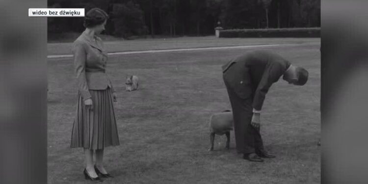 Відпустка Єлизавети II в Балморалі в 1955 році.  На записах зображені собаки королеви