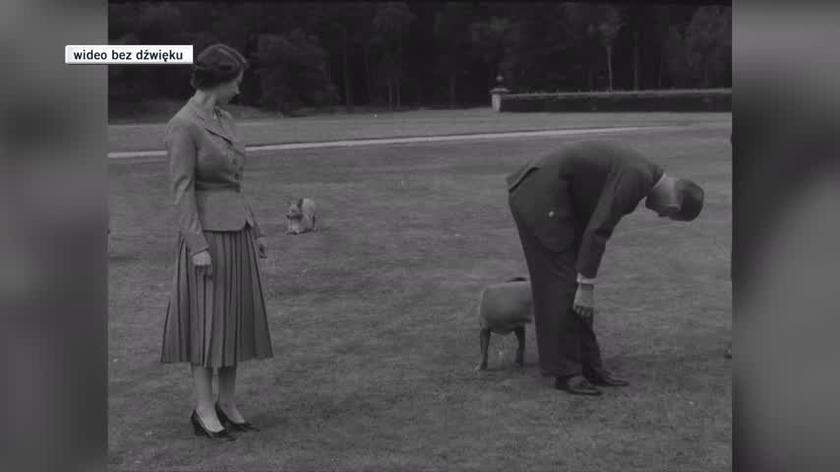 Отпуск Елизаветы II в Балморале в 1955 году.  На записях изображены собаки королевы