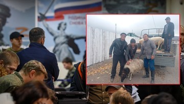 Мобілізація в Росії.  Сім'ї воїнів отримують овець і вугілля